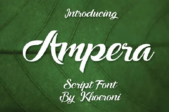 Ampera Script Free font