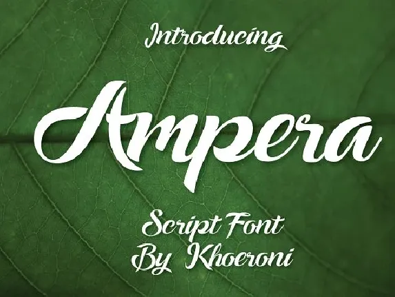 Ampera Script Free font