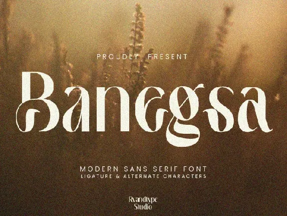 Banegsa Typeface font