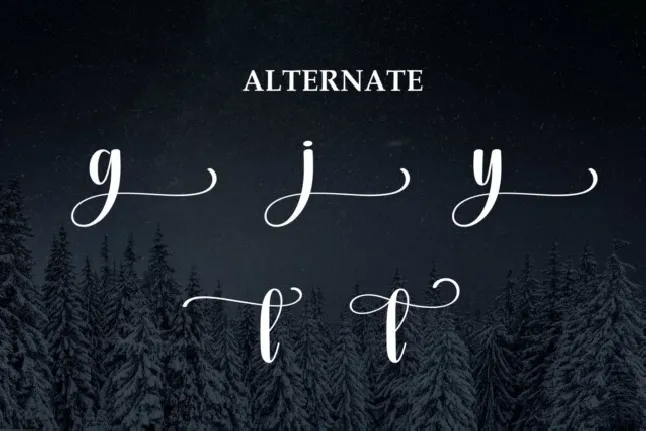 Night Winter Script font