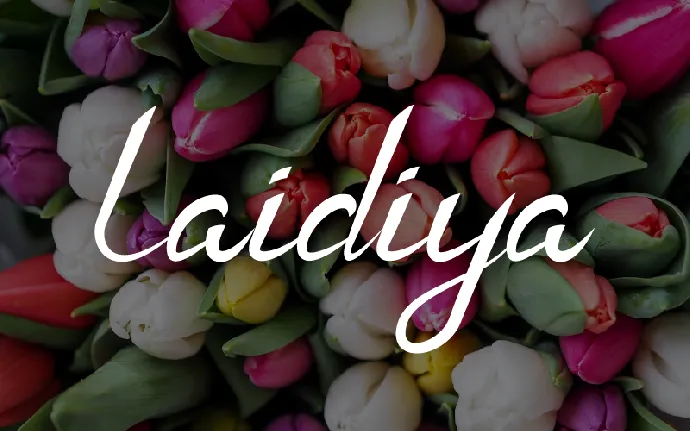 Laidiya font