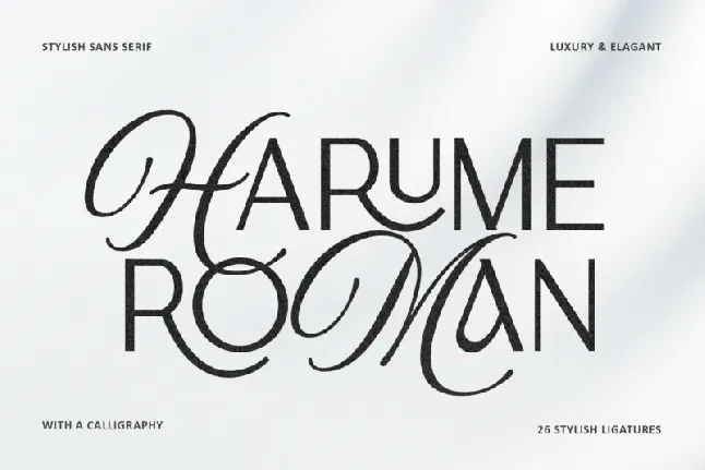 Harume Roman font