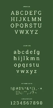 Robika Typeface font