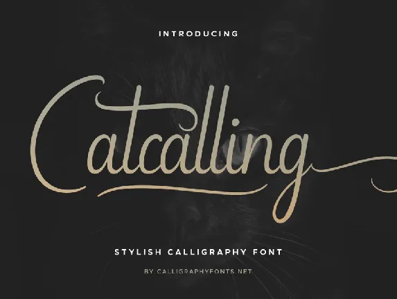 Catcalling Demo font