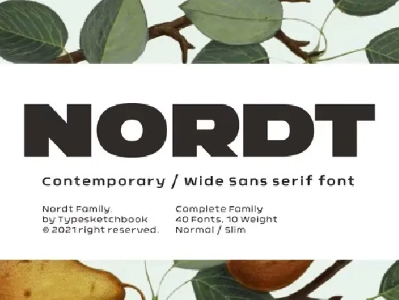 Nordt Family font