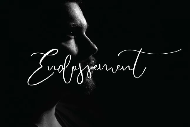 Endossement Calligraphy font