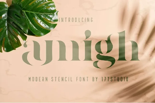 Amigh font