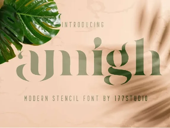 Amigh font