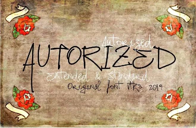 Vtks Autorized 2 font