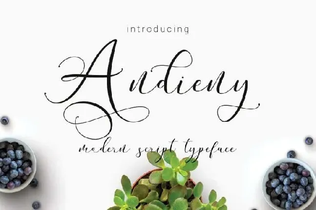 Andieny Script Free font