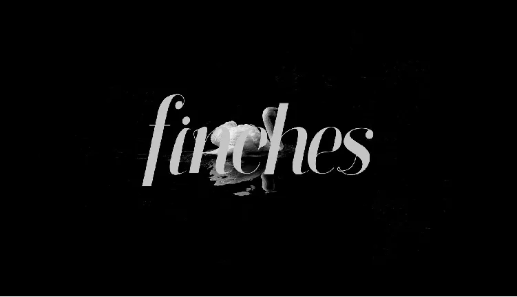 Finches Typeface font