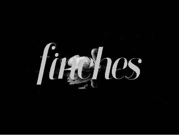 Finches Typeface font