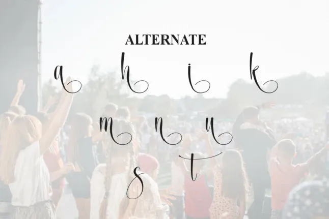 Festival Calligraphy font