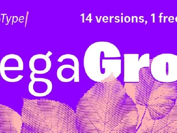 Zega Grotâ„¢ font