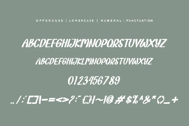 Riposya Typeface font