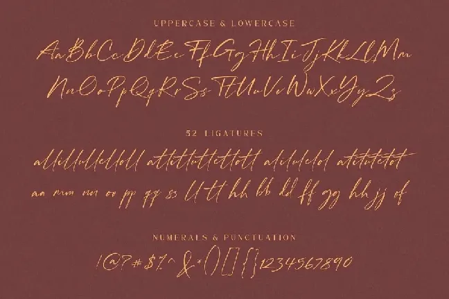 William Costinavel font