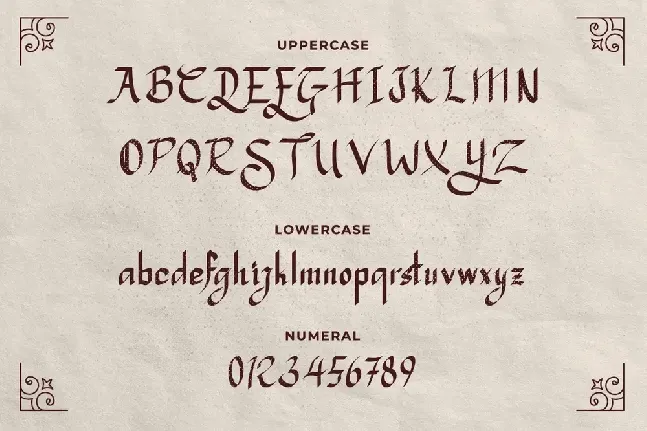 Serkan Free Trial font