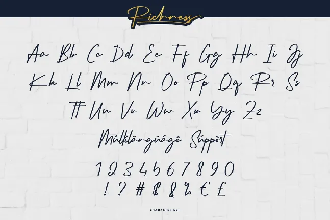 Richness Demo font