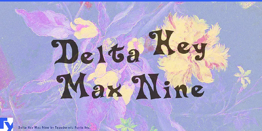 Delta Hey Max 9 font