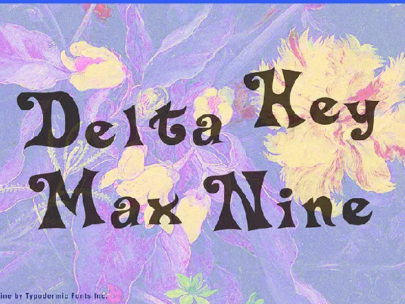 Delta Hey Max 9 font