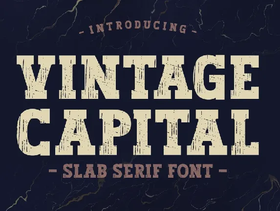 Vintage Capital font