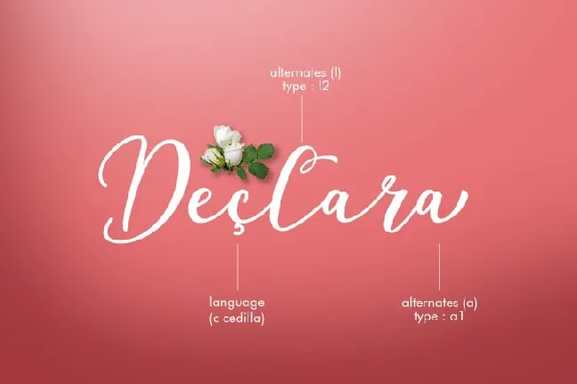 Declara Script font