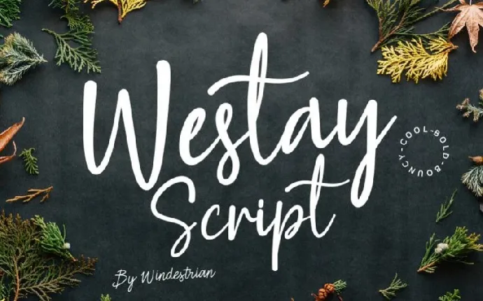 Westay Bold Script font