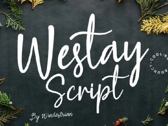 Westay Bold Script font