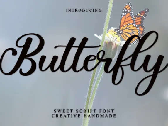 Butterfly Calligraphy Typeface font