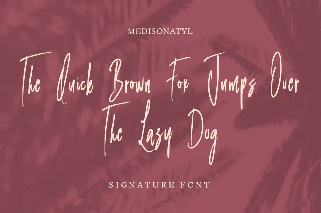 Medisonatyl Signature font