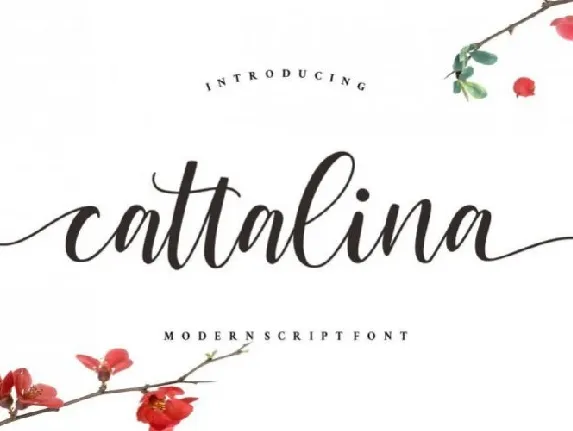 Cattalina Calligraphy font