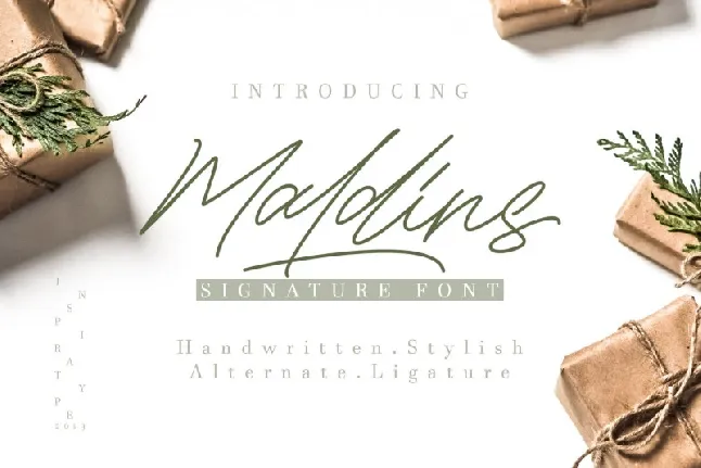 Maldins – Stylish Signature font