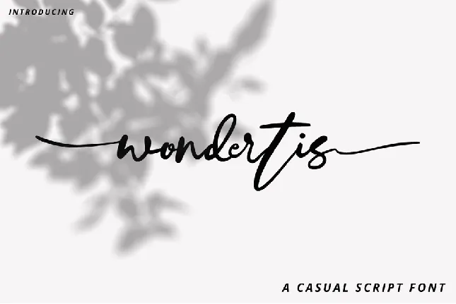 Wondertis Brush font