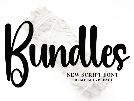 Bundles Typeface font