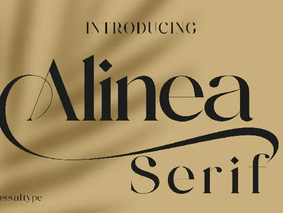 Alinea Serif font