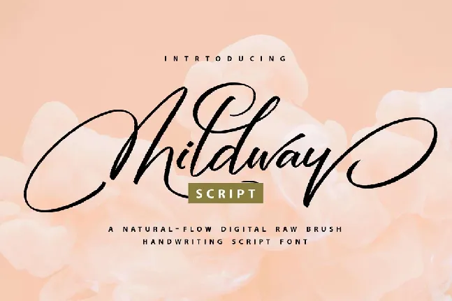 Mildway font