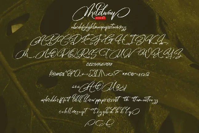 Mildway font