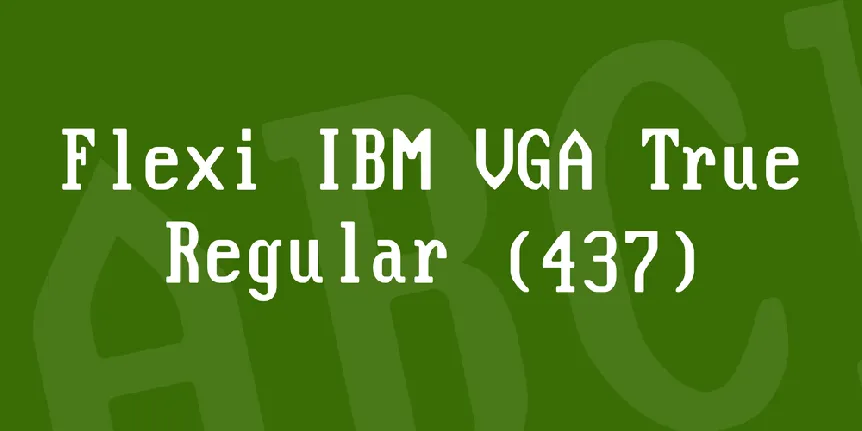 Flexi IBM VGA True font