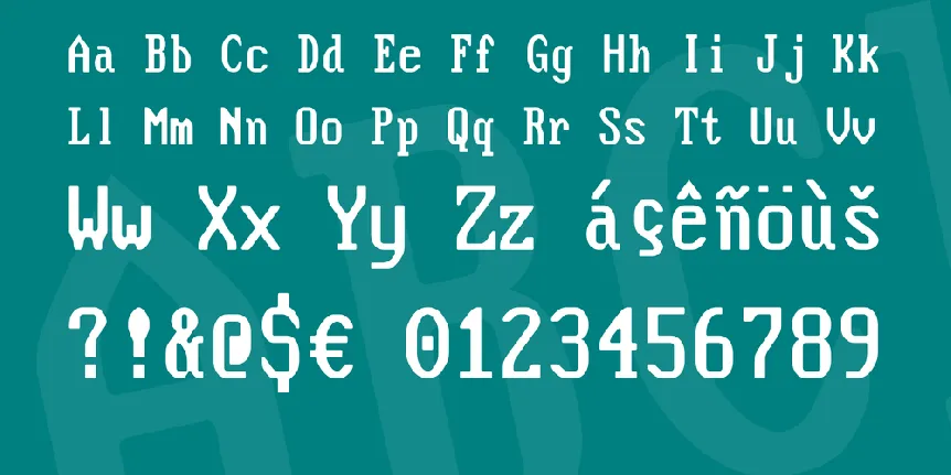 Flexi IBM VGA True font