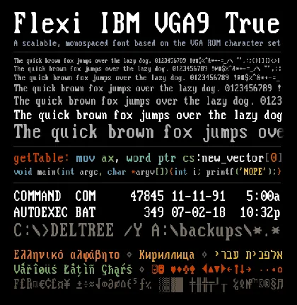 Flexi IBM VGA True font