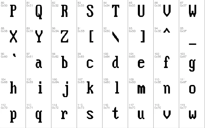 Flexi IBM VGA True font