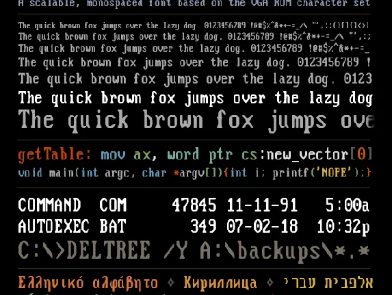 Flexi IBM VGA True font