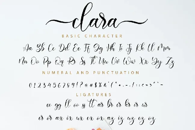 Clara font