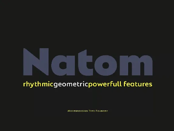 Natom Pro font