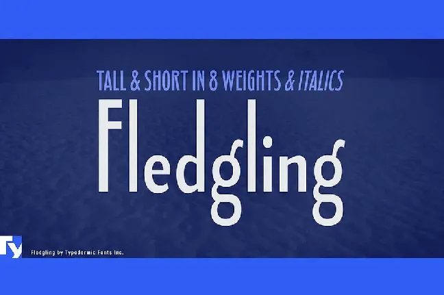 Fledgling font