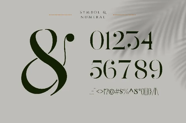 Roxer Stencil - Demo Version font