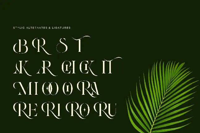 Roxer Stencil - Demo Version font