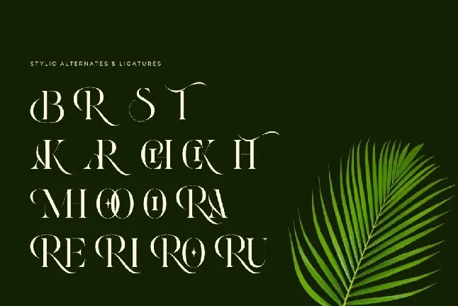 Roxer Stencil - Demo Version font