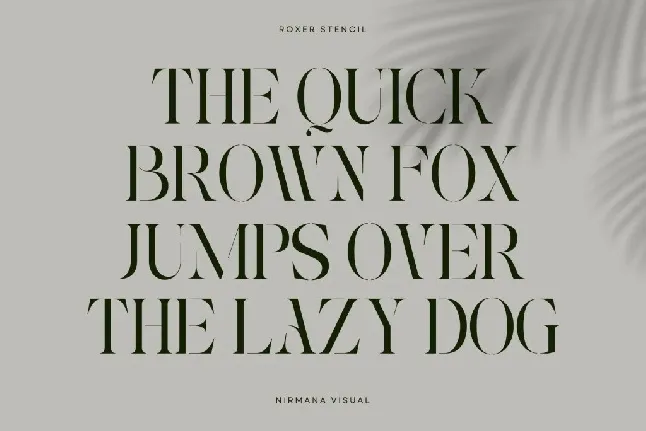 Roxer Stencil - Demo Version font