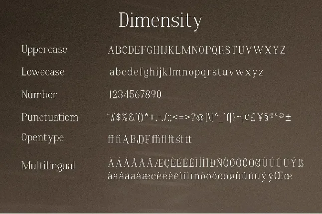 Dimensity font